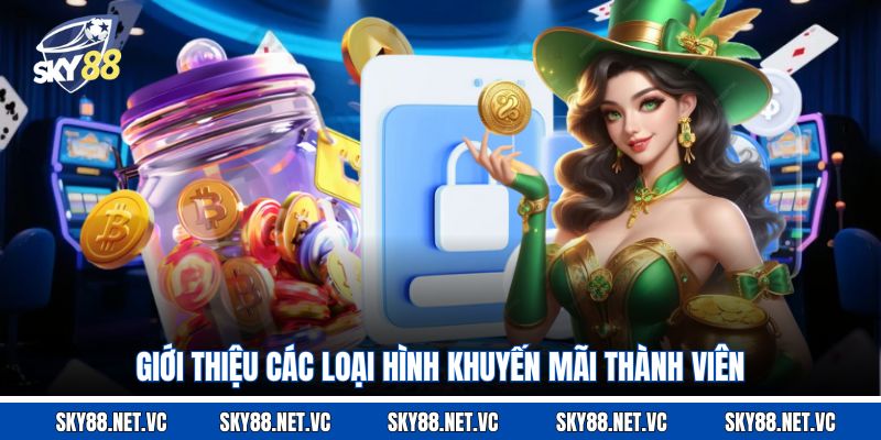 Giới thiệu các loại hình khuyến mãi thành viên